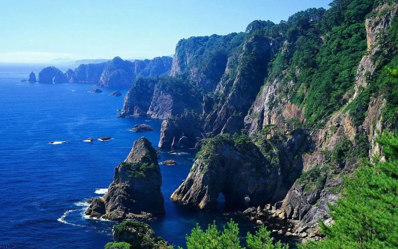 先进信息化高效